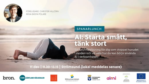 Spanarlunch AI i Strömsund 11 december