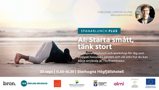 TP_spanarlunchAI_30sept