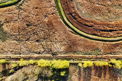 Flygbild av torka på landsbygden. Foto Envato Elements/Nicgorski